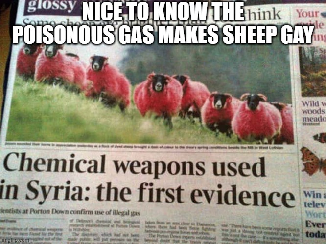 Chemical Weapons are Bad | NICE TO KNOW THE POISONOUS GAS MAKES SHEEP GAY | image tagged in headlines | made w/ Imgflip meme maker