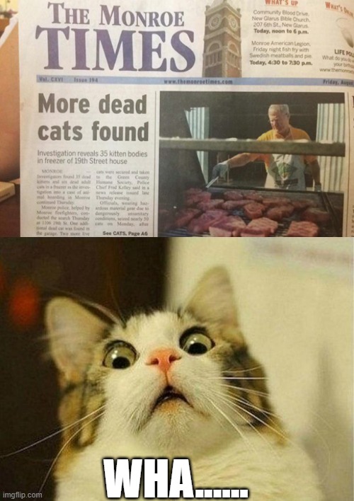 At Least the Meats Going to Good Use | WHA...... | image tagged in memes,scared cat | made w/ Imgflip meme maker