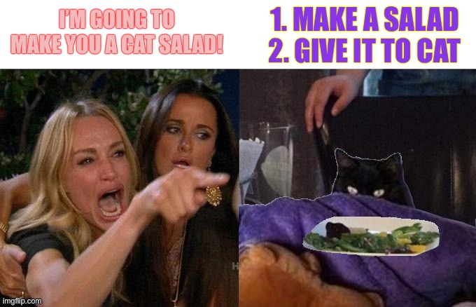 Woman Yelling at tacLive food | 1. MAKE A SALAD
2. GIVE IT TO CAT; I’M GOING TO MAKE YOU A CAT SALAD! | image tagged in woman yelling at taclive food,memes,woman yelling at cat | made w/ Imgflip meme maker