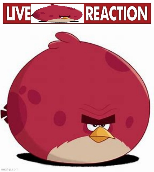 image tagged in live x reaction | made w/ Imgflip meme maker