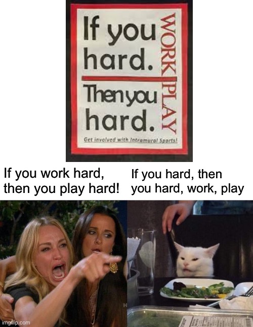 Well, this got dark | If you work hard, then you play hard! If you hard, then you hard, work, play | image tagged in memes,woman yelling at cat | made w/ Imgflip meme maker