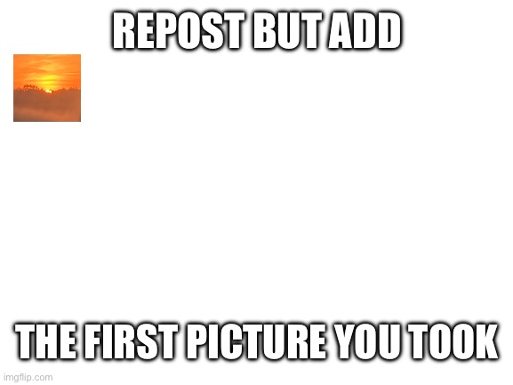 Pls repost | REPOST BUT ADD; THE FIRST PICTURE YOU TOOK | image tagged in blank white template | made w/ Imgflip meme maker