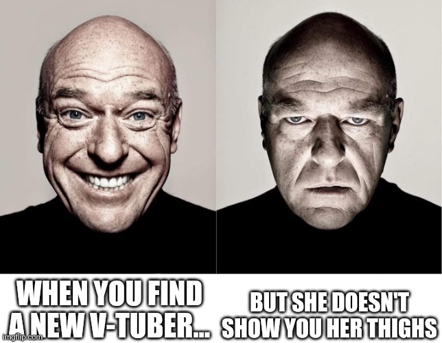 Cmon bro | WHEN YOU FIND A NEW V-TUBER... BUT SHE DOESN'T SHOW YOU HER THIGHS | image tagged in breaking bad smile frown | made w/ Imgflip meme maker