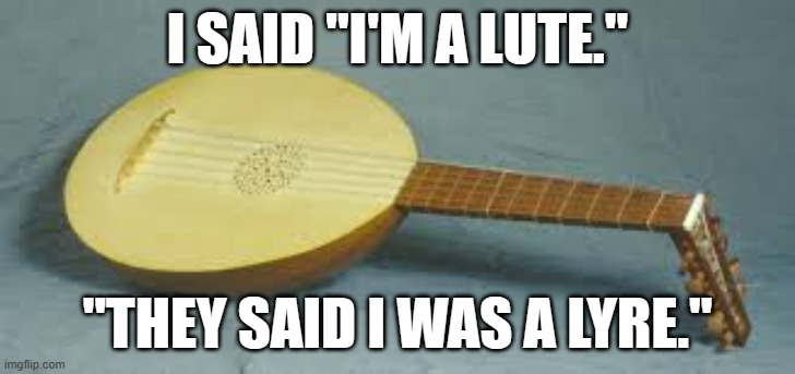 meme by Brad lute and lyre | I SAID "I'M A LUTE."; "THEY SAID I WAS A LYRE." | image tagged in music | made w/ Imgflip meme maker