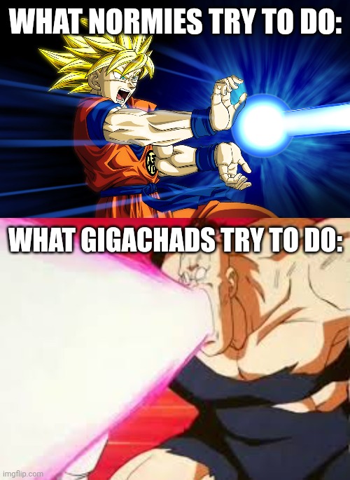 i literally tried to use recoome eraser gun a few days ago | WHAT NORMIES TRY TO DO:; WHAT GIGACHADS TRY TO DO: | image tagged in kamehameha,dragon ball,dragon ball z,recoome | made w/ Imgflip meme maker