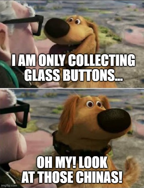 distracted by squirrel | I AM ONLY COLLECTING GLASS BUTTONS... OH MY! LOOK AT THOSE CHINAS! | image tagged in distracted by squirrel | made w/ Imgflip meme maker