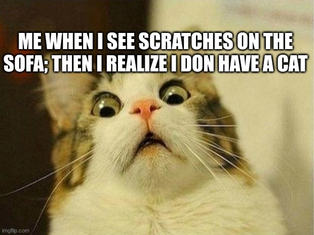 Scared Cat | ME WHEN I SEE SCRATCHES ON THE SOFA; THEN I REALIZE I DON HAVE A CAT | image tagged in memes,scared cat | made w/ Imgflip meme maker