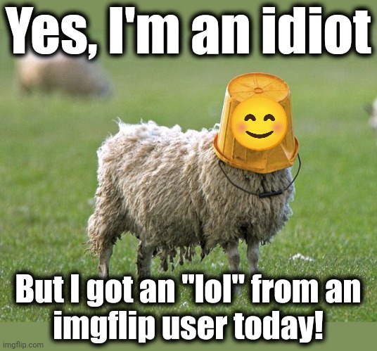 It's a good day today! | Yes, I'm an idiot; But I got an "lol" from an
imgflip user today! | image tagged in stupid sheep,memes,idiot,lol,imgflip | made w/ Imgflip meme maker