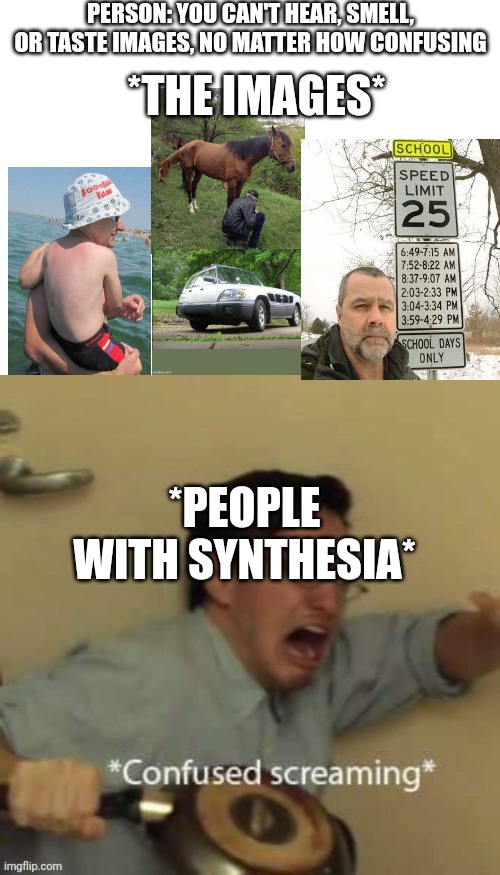 Synthesia | PERSON: YOU CAN'T HEAR, SMELL, OR TASTE IMAGES, NO MATTER HOW CONFUSING; *THE IMAGES*; *PEOPLE WITH SYNTHESIA* | image tagged in confused | made w/ Imgflip meme maker