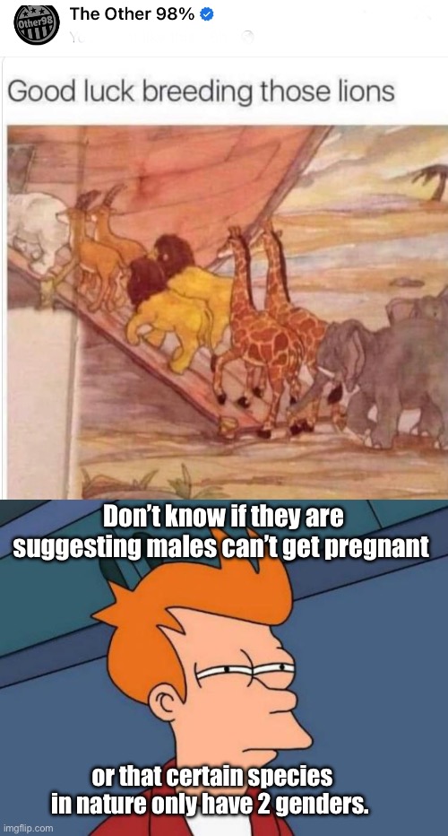 Why can’t male lions get pregnant? | Don’t know if they are suggesting males can’t get pregnant; or that certain species in nature only have 2 genders. | image tagged in memes,futurama fry,politics lol | made w/ Imgflip meme maker
