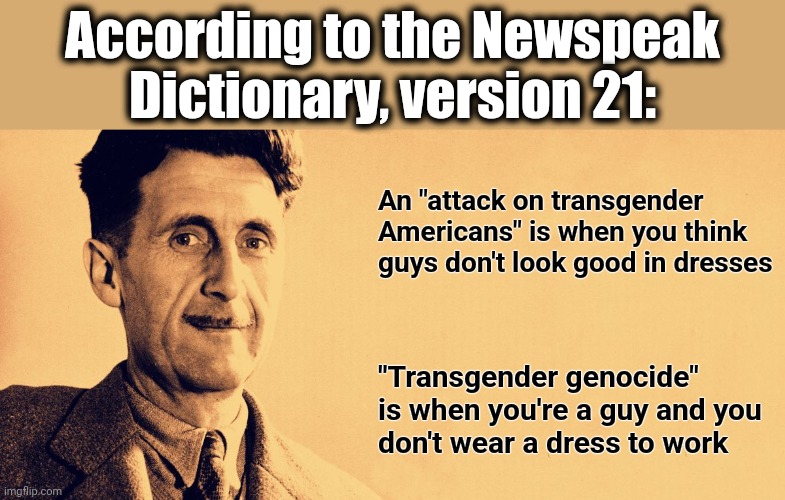 Keep up with newspeak, or you'll be guilty of thoughtcrime! | According to the Newspeak Dictionary, version 21:; An "attack on transgender Americans" is when you think guys don't look good in dresses; "Transgender genocide" is when you're a guy and you
don't wear a dress to work | image tagged in george orwell,newspeak,1984,transgender,transgressions,thought crime | made w/ Imgflip meme maker