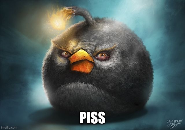 angry birds bomb | PISS | image tagged in angry birds bomb | made w/ Imgflip meme maker