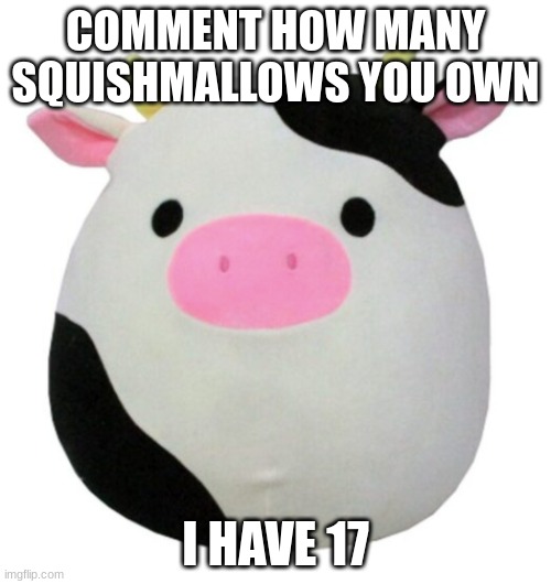 How many you got? | COMMENT HOW MANY SQUISHMALLOWS YOU OWN; I HAVE 17 | image tagged in cow squishmallow,squishmallow,floofy | made w/ Imgflip meme maker