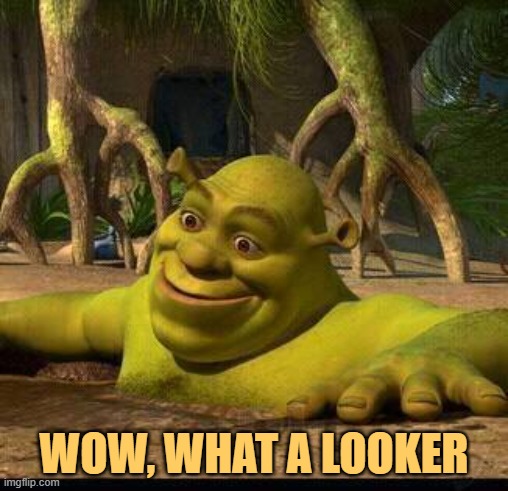 shreck | WOW, WHAT A LOOKER | image tagged in shreck | made w/ Imgflip meme maker