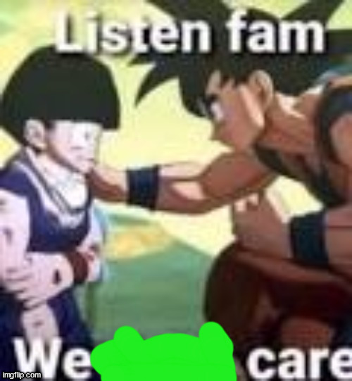 Listen fam we dont care | image tagged in listen fam we dont care | made w/ Imgflip meme maker