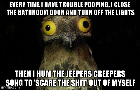 Weird Stuff I Do Potoo Meme | EVERY TIME I HAVE TROUBLE POOPING, I CLOSE THE BATHROOM DOOR AND TURN OFF THE LIGHTS THEN I HUM THE JEEPERS CREEPERS SONG TO 'SCARE THE SHIT | image tagged in memes,weird stuff i do potoo | made w/ Imgflip meme maker