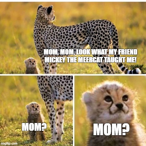 Cheetah Mom with Scared Cub | MOM, MOM, LOOK WHAT MY FRIEND MICKEY THE MEERCAT TAUGHT ME! MOM? MOM? | image tagged in cheetah mom with scared cub | made w/ Imgflip meme maker