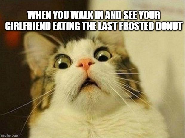 Scared Cat Meme | WHEN YOU WALK IN AND SEE YOUR GIRLFRIEND EATING THE LAST FROSTED DONUT | image tagged in memes,scared cat | made w/ Imgflip meme maker