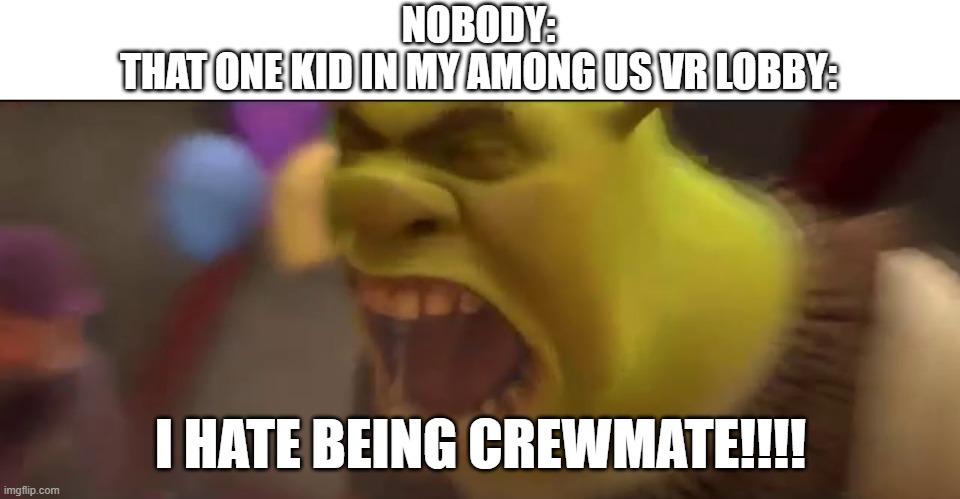 Calm tf down bro | NOBODY:
THAT ONE KID IN MY AMONG US VR LOBBY:; I HATE BEING CREWMATE!!!! | image tagged in shrek screaming,among us,rage,screaming kid,crewmate | made w/ Imgflip meme maker