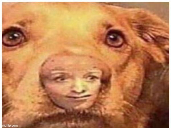 old unsubbmitted image of mine | made w/ Imgflip meme maker