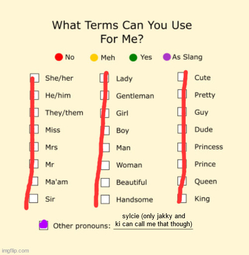 Pronouns Sheet | sylcie (only jakky and ki can call me that though) | image tagged in pronouns sheet | made w/ Imgflip meme maker