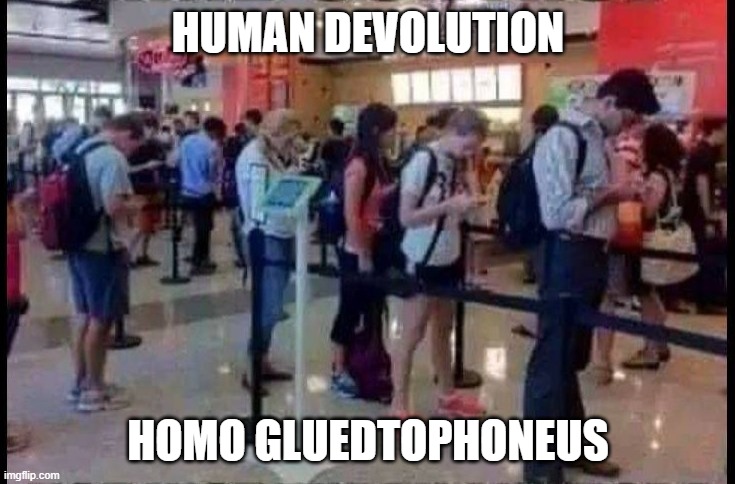 The devolution of mankind | HUMAN DEVOLUTION; HOMO GLUEDTOPHONEUS | image tagged in funny | made w/ Imgflip meme maker