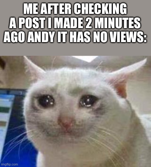 *and* ;=; | ME AFTER CHECKING A POST I MADE 2 MINUTES AGO ANDY IT HAS NO VIEWS: | image tagged in lllllllll | made w/ Imgflip meme maker