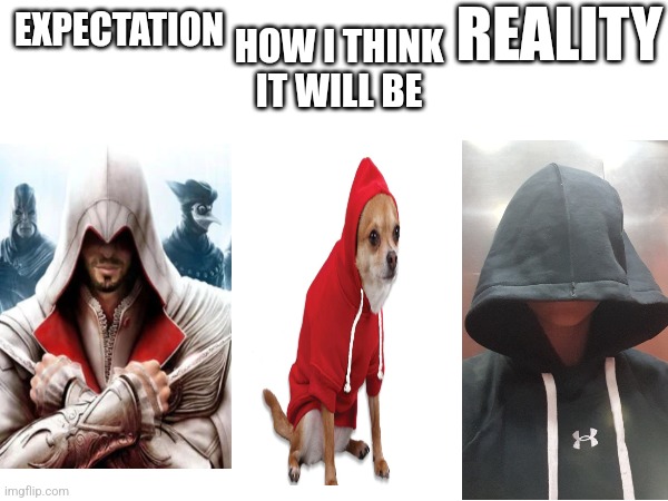 It is better then I though | REALITY; HOW I THINK IT WILL BE; EXPECTATION | image tagged in fun,video games | made w/ Imgflip meme maker