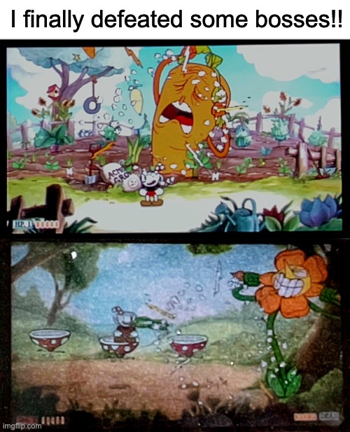I got a B for Psycarrot, and a C- for Cagney (Cagney was on simple mode) | I finally defeated some bosses!! | image tagged in bosses,cuphead,cagney carnation,psycarrot,a knockout | made w/ Imgflip meme maker