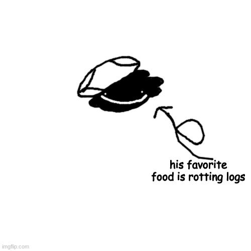 oh and internet controversy stories with a sprinkle of serious accusations for flavor | his favorite food is rotting logs | made w/ Imgflip meme maker