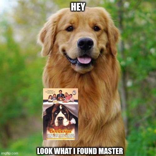 look what i found master | HEY; LOOK WHAT I FOUND MASTER | image tagged in golden retriever,dogs,universal studios,90s movies | made w/ Imgflip meme maker