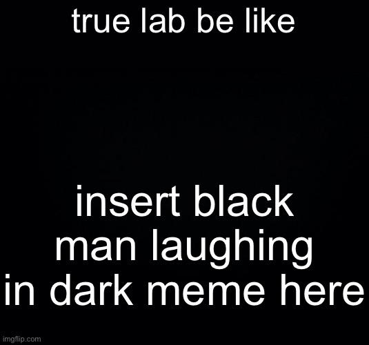 it just gives me the creeps, imagine being there irl and hearing that laugh, or seeing one of them. terrifying (Where Funny) | true lab be like; insert black man laughing in dark meme here | image tagged in true lab | made w/ Imgflip meme maker
