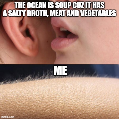 Whisper and Goosebumps | THE OCEAN IS SOUP CUZ IT HAS A SALTY BROTH, MEAT AND VEGETABLES; ME | image tagged in whisper and goosebumps | made w/ Imgflip meme maker