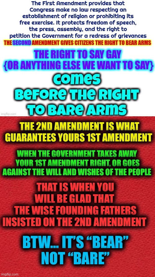 THE 2ND AMENDMENT IS WHAT GUARANTEES YOURS 1ST AMENDMENT; WHEN THE GOVERNMENT TAKES AWAY  YOUR 1ST AMENDMENT RIGHT, OR GOES AGAINST THE WILL AND WISHES OF THE PEOPLE; THAT IS WHEN YOU WILL BE GLAD THAT 
THE WISE FOUNDING FATHERS INSISTED ON THE 2ND AMENDMENT; BTW… IT’S “BEAR”
NOT “BARE” | image tagged in blank red card | made w/ Imgflip meme maker