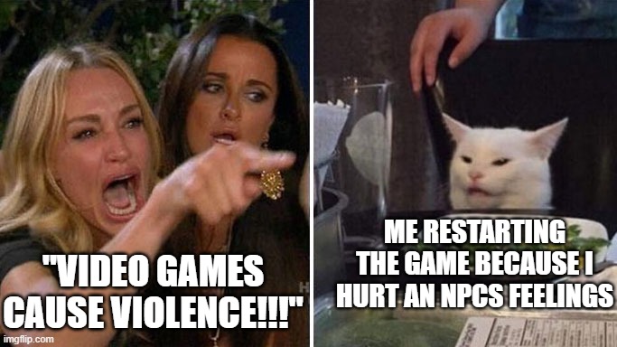Angry lady cat | ME RESTARTING THE GAME BECAUSE I HURT AN NPCS FEELINGS; "VIDEO GAMES CAUSE VIOLENCE!!!" | image tagged in angry lady cat | made w/ Imgflip meme maker