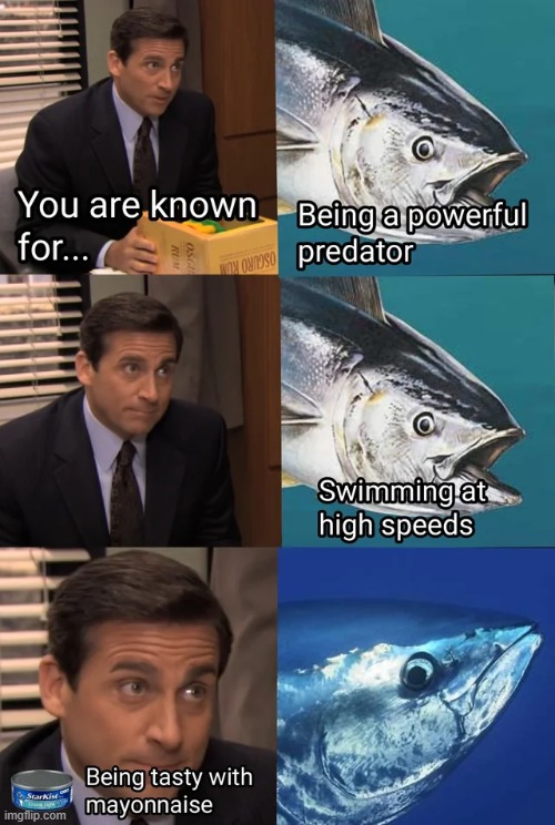 image tagged in memes | made w/ Imgflip meme maker