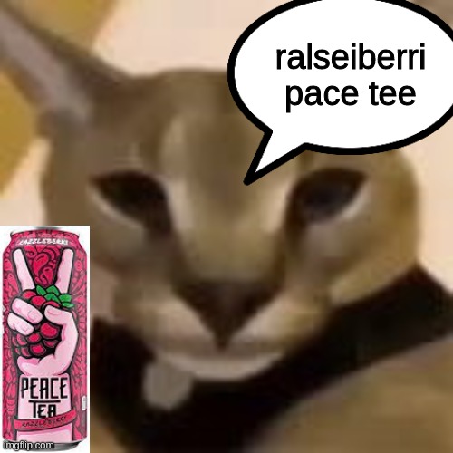 idk | ralseiberri pace tee | image tagged in hecker | made w/ Imgflip meme maker