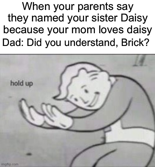 Wait- Wha- | When your parents say they named your sister Daisy because your mom loves daisy; Dad: Did you understand, Brick? | image tagged in fallout hold up with space on the top | made w/ Imgflip meme maker