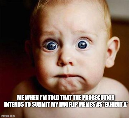 scared baby | ME WHEN I'M TOLD THAT THE PROSECUTION INTENDS TO SUBMIT MY IMGFLIP MEMES AS 'EXHIBIT A' | image tagged in scared baby | made w/ Imgflip meme maker