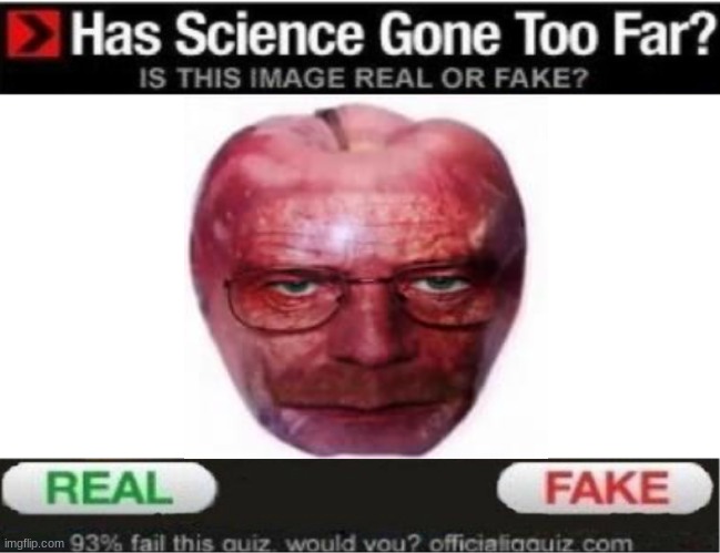 this is a template apparently | made w/ Imgflip meme maker