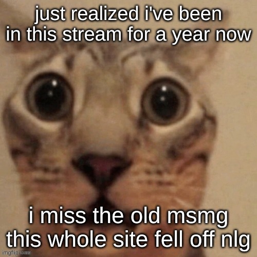 in shock | just realized i've been in this stream for a year now; i miss the old msmg this whole site fell off nlg | image tagged in in shock | made w/ Imgflip meme maker