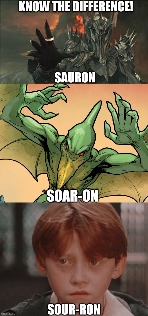 Know the difference! | KNOW THE DIFFERENCE! SAURON; SOAR-ON; SOUR-RON | image tagged in lotr,xmen,harry potter | made w/ Imgflip meme maker