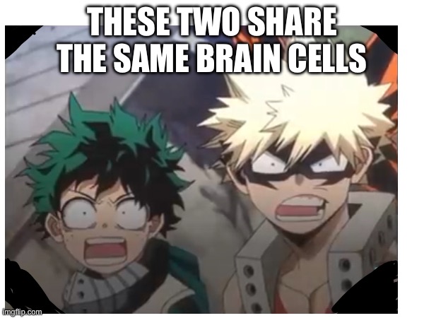 The same brain cells | THESE TWO SHARE THE SAME BRAIN CELLS | image tagged in deku and bakugou,losing brain cells,grief,oh wow are you actually reading these tags | made w/ Imgflip meme maker