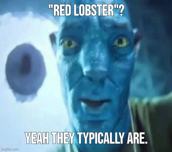 Avatar guy | "RED LOBSTER"? YEAH THEY TYPICALLY ARE. | image tagged in avatar guy | made w/ Imgflip meme maker