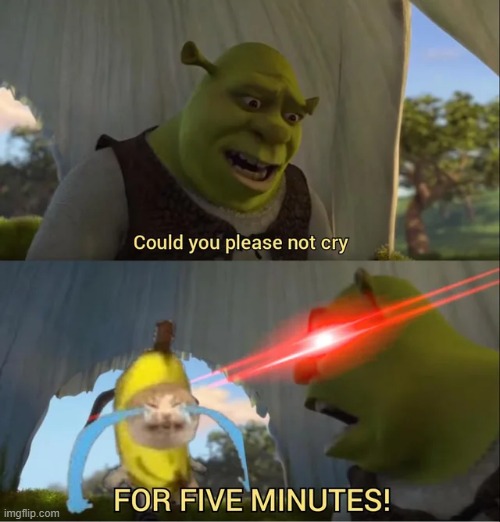 image tagged in memes | made w/ Imgflip meme maker