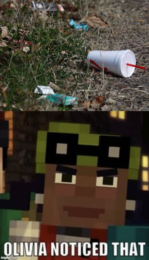 Olivia noticed Litter | image tagged in olivia noticed that,minecraft story mode,earth day,litter,mcsm,noticed that | made w/ Imgflip meme maker