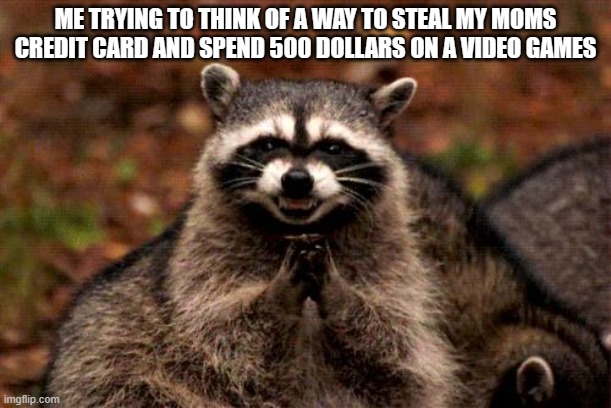 Evil Plotting Raccoon | ME TRYING TO THINK OF A WAY TO STEAL MY MOMS CREDIT CARD AND SPEND 500 DOLLARS ON A VIDEO GAMES | image tagged in memes,evil plotting raccoon | made w/ Imgflip meme maker