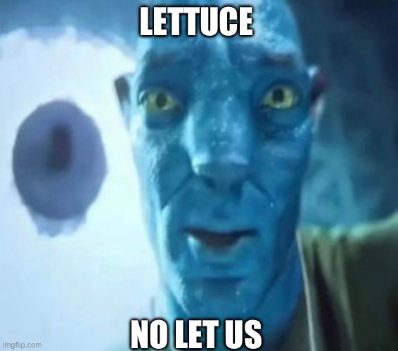 Idk if did this meme right tbh | LETTUCE; NO LET US | image tagged in avatar guy | made w/ Imgflip meme maker