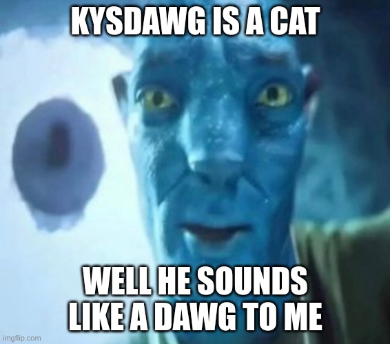 Avatar guy | KYSDAWG IS A CAT; WELL HE SOUNDS LIKE A DAWG TO ME | image tagged in avatar guy | made w/ Imgflip meme maker