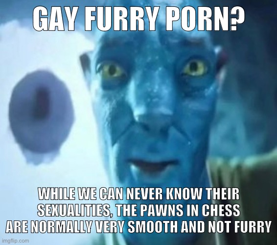 Avatar guy | GAY FURRY PORN? WHILE WE CAN NEVER KNOW THEIR SEXUALITIES, THE PAWNS IN CHESS ARE NORMALLY VERY SMOOTH AND NOT FURRY | image tagged in avatar guy | made w/ Imgflip meme maker